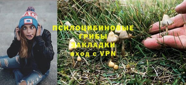 бошки Алексеевка