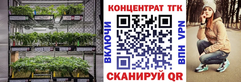 Дистиллят ТГК гашишное масло  Ртищево 