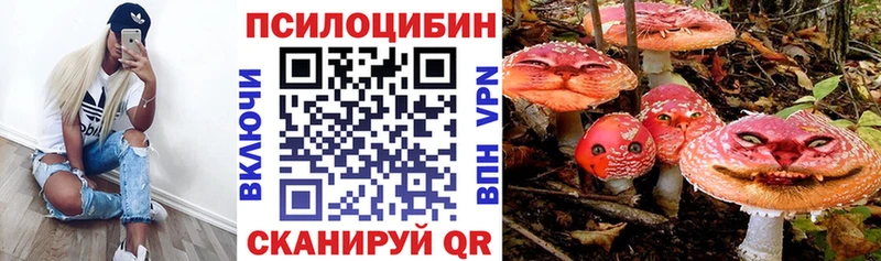 что такое Ртищево Галлюциногенные грибы Psilocybine cubensis